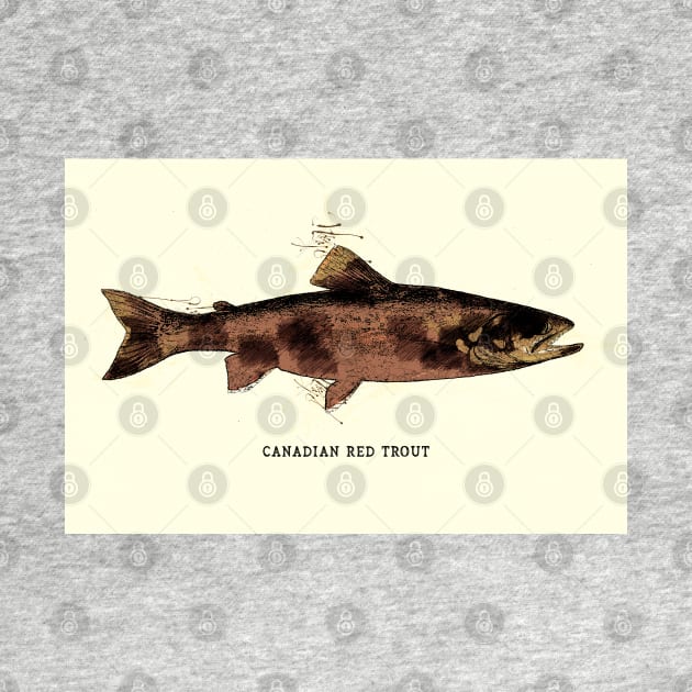 Canadian Red Trout Vintage Art for the Ocean Lovers and Anglers / Gifts for Fisherman by Naumovski